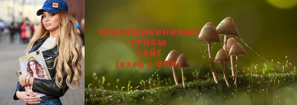 первитин Алексеевка