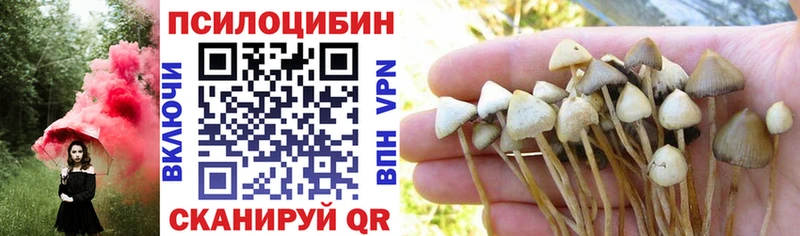 магазин продажи   Пласт  Псилоцибиновые грибы мухоморы 
